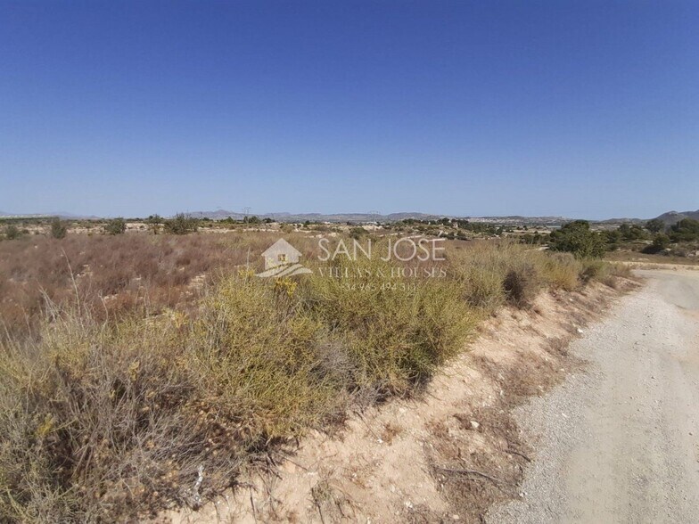 Land in Novelda, Alicante for sale - Primary Photo - Image 2 of 11