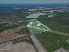 17668 NE Flatwoods Rd, Altha, FL - Aerial  map view - Image1