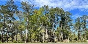 HWY 1088, Mandeville, LA à vendre - Photo du bâtiment - Image 2 de 2