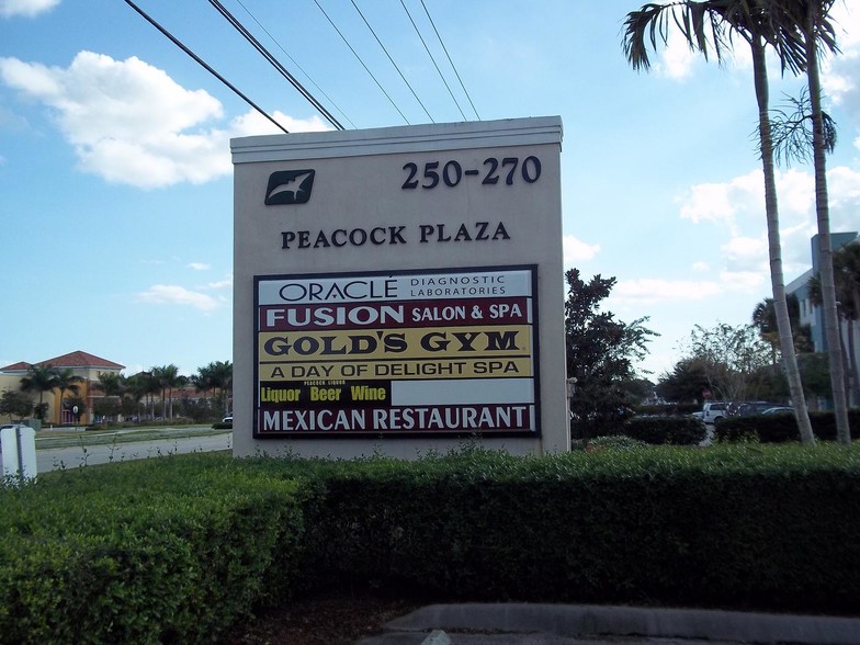 270 NW Peacock Blvd, Port Saint Lucie, FL for lease - Building Photo - Image 3 of 7