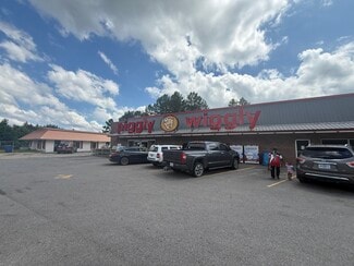More details for 2003 N Pine Ave, Heidelberg, MS - Retail for Lease