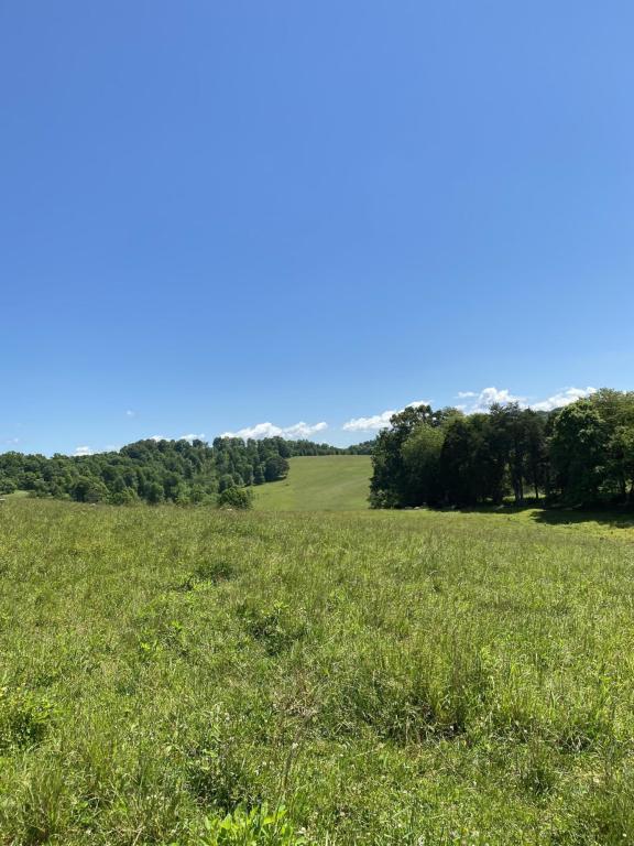 More details for Chapman Rd, LaFollette, TN - Land for Sale