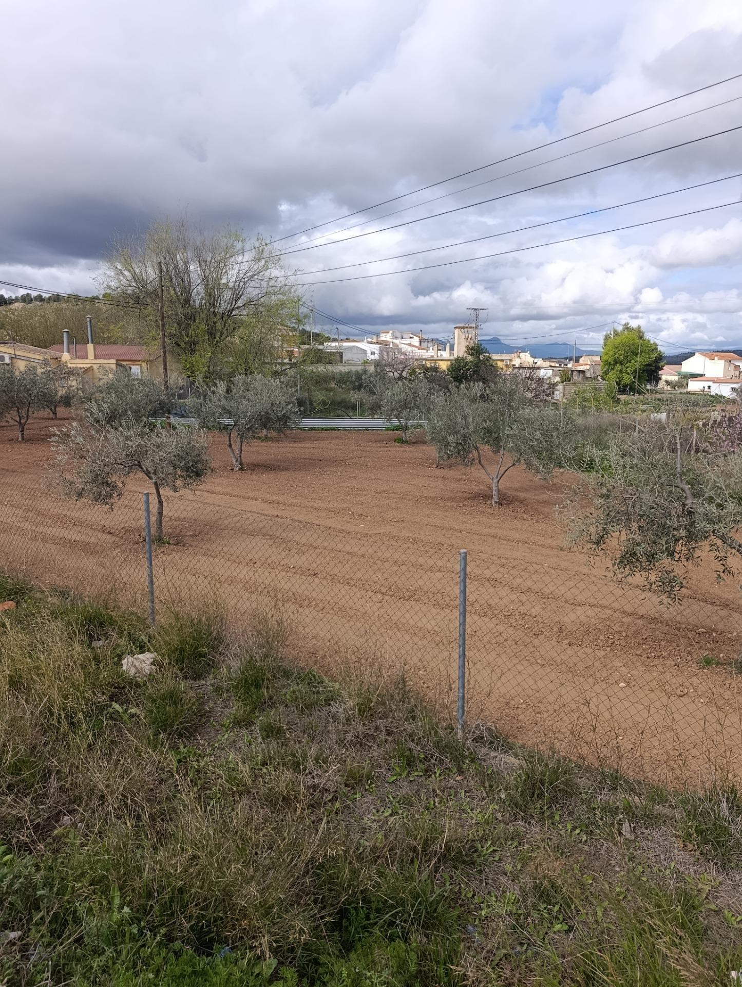 Terrain dans Bullas, Murcia à vendre Plan de site- Image 1 de 8