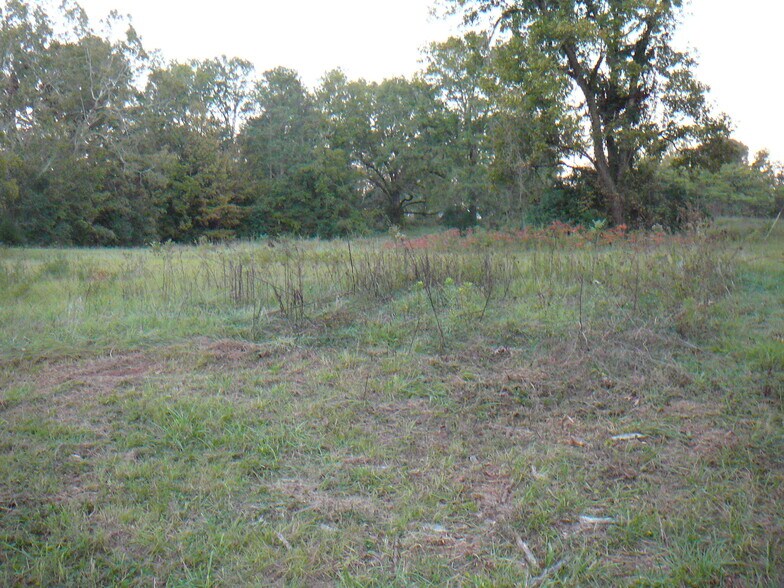 502 N Calhoun St, Calhoun Falls, SC à vendre - Photo du bâtiment - Image 2 de 5