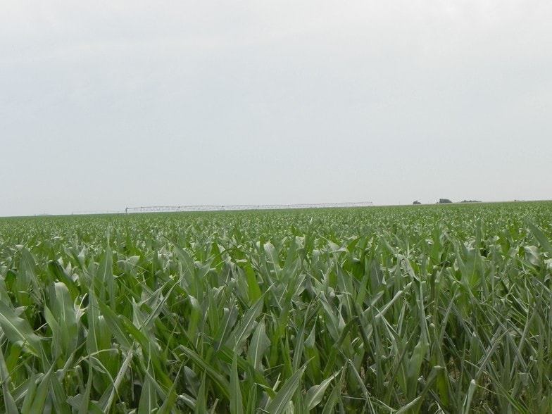 960 Acres In Cimarron County Ok, Texhoma, OK for sale - Other - Image 1 of 1