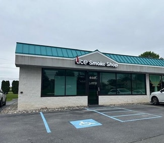 Plus de détails pour 4445 Route 309, Schnecksville, PA - Commerce de détail à louer