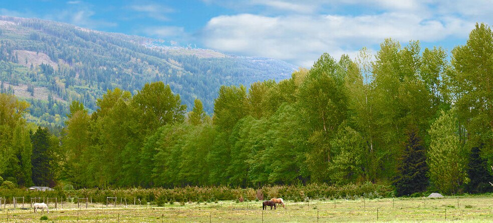 8233 Sims Rd, Sedro Woolley, WA à vendre - Photo du bâtiment - Image 2 de 6