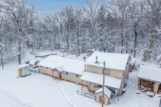 Plus de détails pour 8773 Goldenrod Ave, Bitely, MI - Commerce de détail à vendre