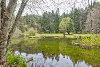 More details for 7250 Mitchell Mill Rd, Wilseyville, CA - Land for Sale