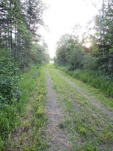 Tangle Ridge Rd, Perham, ME à vendre - Photo principale - Image 1 de 1