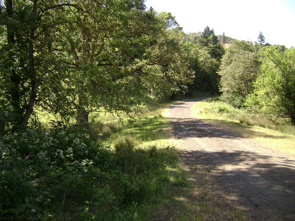 Newton Creek Rd, Roseburg, OR à vendre Autre- Image 1 de 7