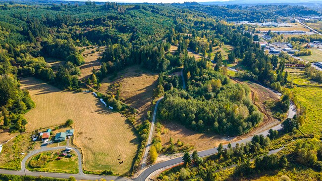 Plus de détails pour 0 Salzer Creek (was Fair St), Centralia, WA - Terrain à vendre