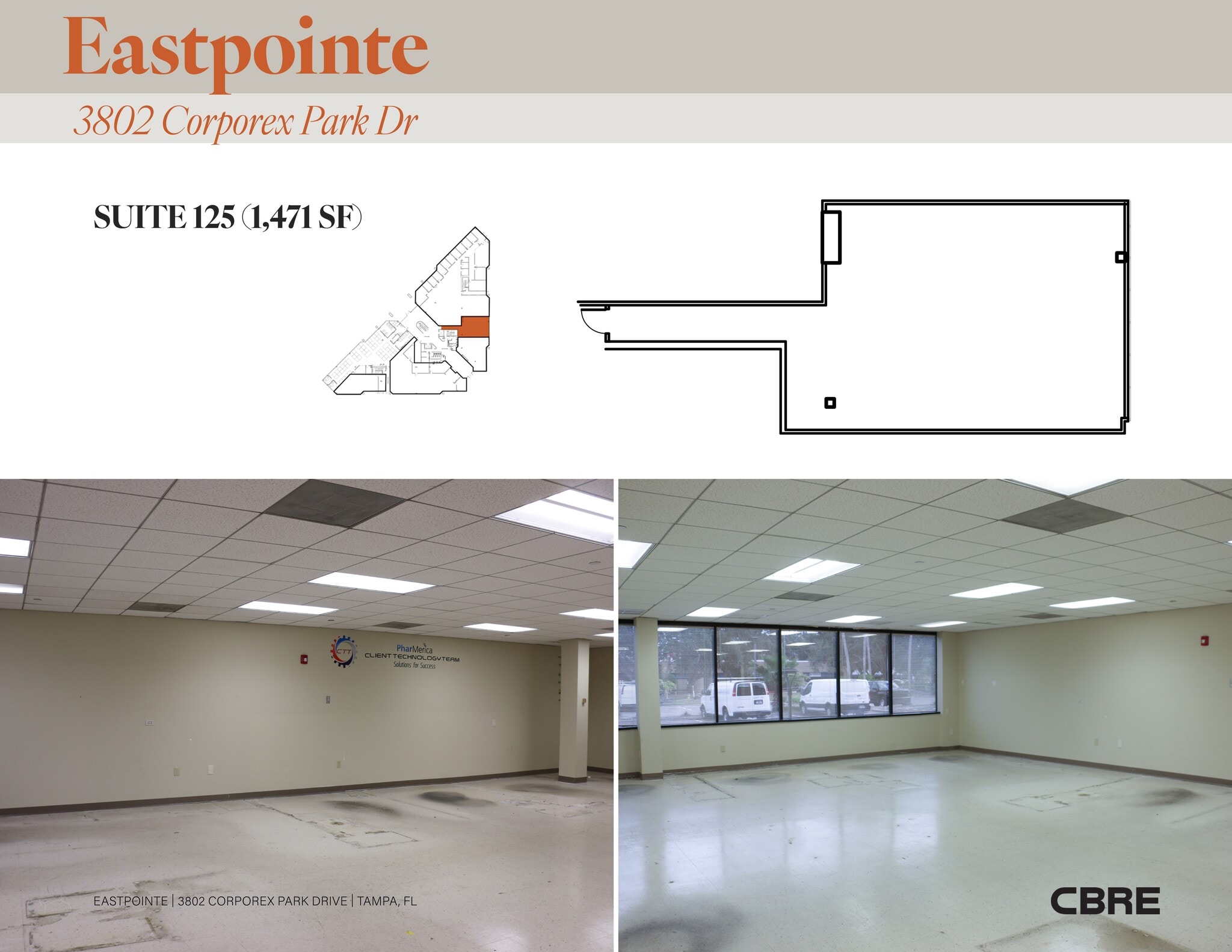 3802 Corporex Park Dr, Tampa, FL for lease Site Plan- Image 1 of 1