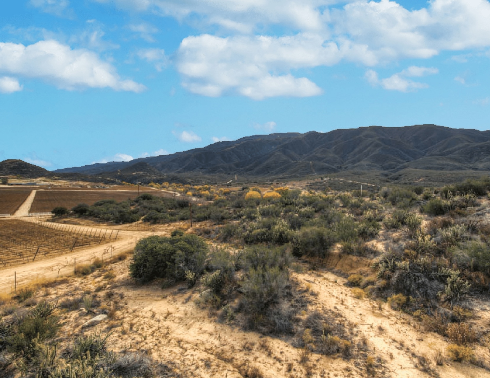 38624 Highway 79, Warner Springs, CA for sale Primary Photo- Image 1 of 1