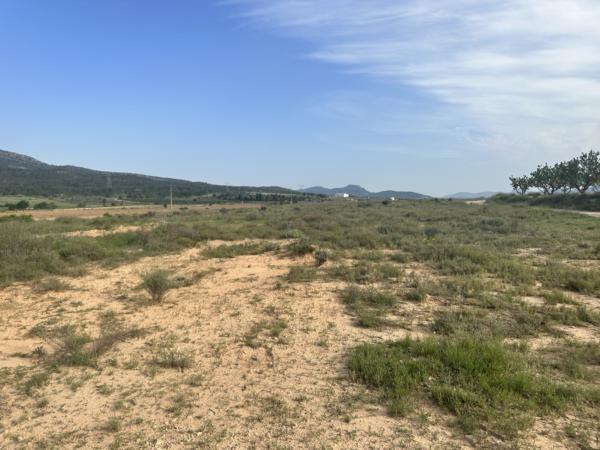 Land in Salinas, Alicante for sale - Site Plan - Image 2 of 6