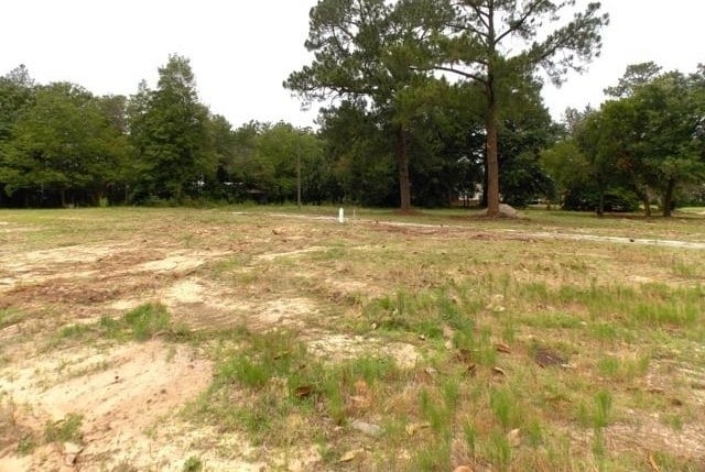 3400 Platt Springs Rd, West Columbia, SC for sale - Building Photo - Image 3 of 4