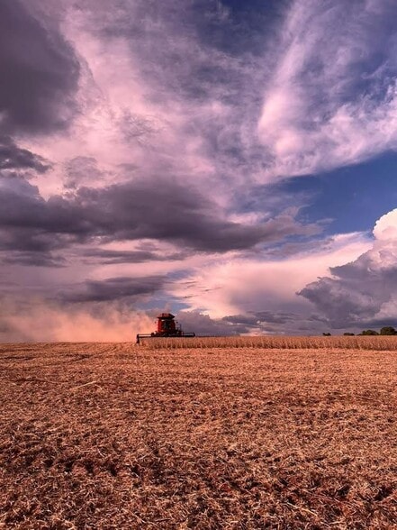 Land in Departamento de Canindeyu-Paraguay, Canindeyu for sale - Aerial - Image 3 of 7