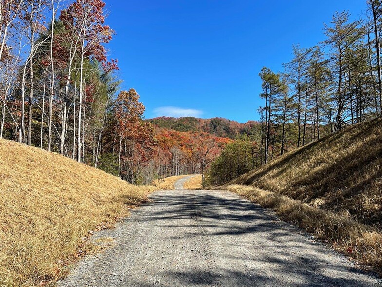 111 Butler Mountain Rd, Murphy, NC à vendre - Photo du b timent - Image 3 de 8