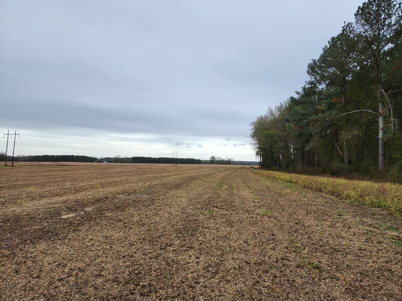 6527 Grassy Island Rd, Mount Gilead, NC for sale - Primary Photo - Image 1 of 1