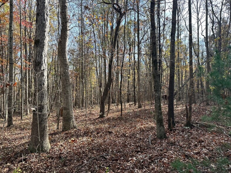 0 Hollywood Hwy, Clarkesville, GA for sale - Primary Photo - Image 2 of 4