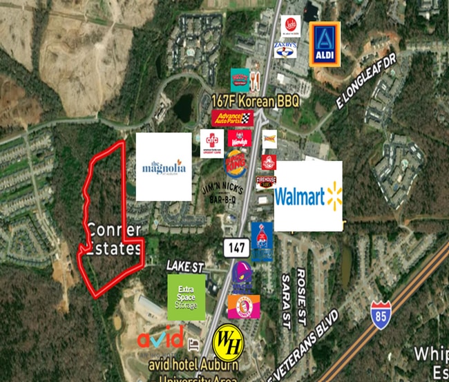 Plus de détails pour 246 Lake Street, Auburn, AL - Terrain à vendre