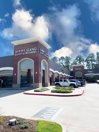 More details for 3091 College Park Dr, Conroe, TX - Office/Medical, Retail for Lease