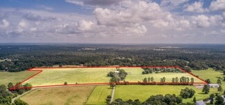 More details for 25396 Magnolia Rd, Hockley, TX - Land for Sale