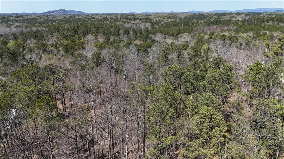 0 King Camp Rd, Acworth, GA à vendre - Photo principale - Image 1 de 12