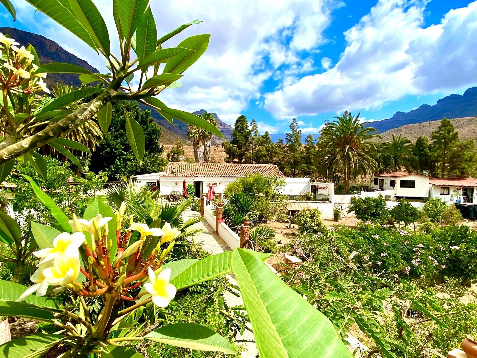 Hospitality in San Bartolomé de Tirajana, Las Palmas for sale Primary Photo- Image 1 of 6