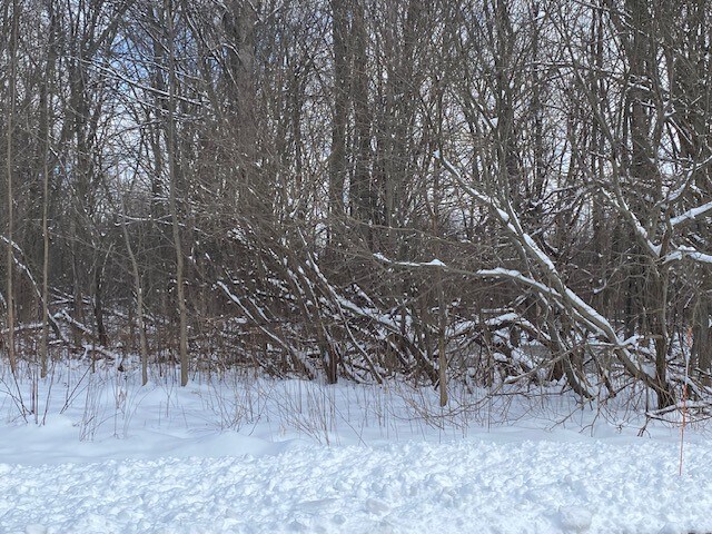 0 Crescent Dr, Wheatfield Township, NY for sale - Building Photo - Image 2 of 4