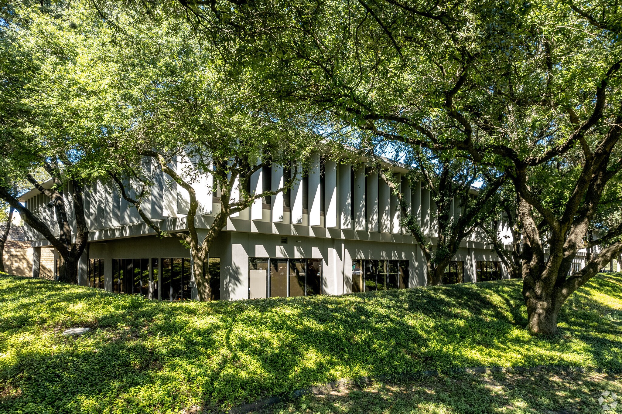 4800 Fredericksburg Rd, San Antonio, TX à louer Photo principale- Image 1 de 19