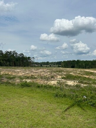 More details for 3AC Old Highway 63, Lucedale, MS - Land for Sale