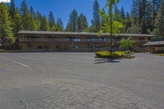More details for 19031 Michele Ln, Twain Harte, CA - Land for Sale