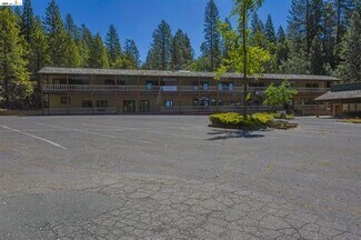 Plus de détails pour 19031 Michele Ln, Twain Harte, CA - Terrain à vendre