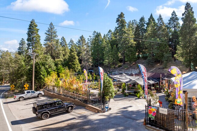 More details for 303 CA-173 Hwy, Lake Arrowhead, CA - Retail for Sale