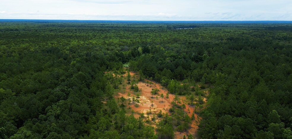 2250 Sam Royal Rd, Axis, AL à vendre - Photo du bâtiment - Image 2 de 6