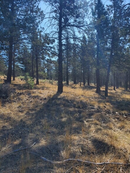 5779 Engleman Spruce Way, Klamath Falls, OR for sale - Building Photo - Image 2 of 7