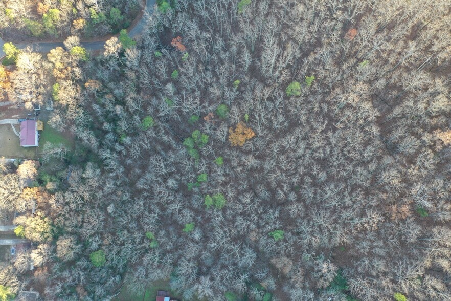 5688 Balboa Terrace, Pinson, AL à vendre - Aérien - Image 3 de 8