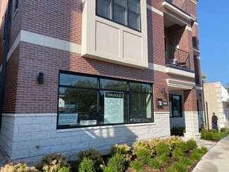 Plus de détails pour 514 Hillgrove Ave, Western Springs, IL - Multi-résidentiel à vendre