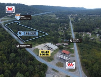 Plus de détails pour Adj. to 3022 Noccalula Pkwy Pky, Attalla, AL - Terrain à vendre