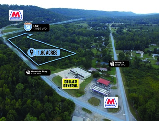 Plus de détails pour Adj. to 3022 Noccalula Pkwy Pky, Attalla, AL - Terrain à vendre