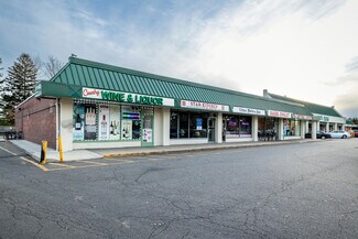 Plus de détails pour 589-613 Old Country Rd, Plainview, NY - Commerce de détail à louer