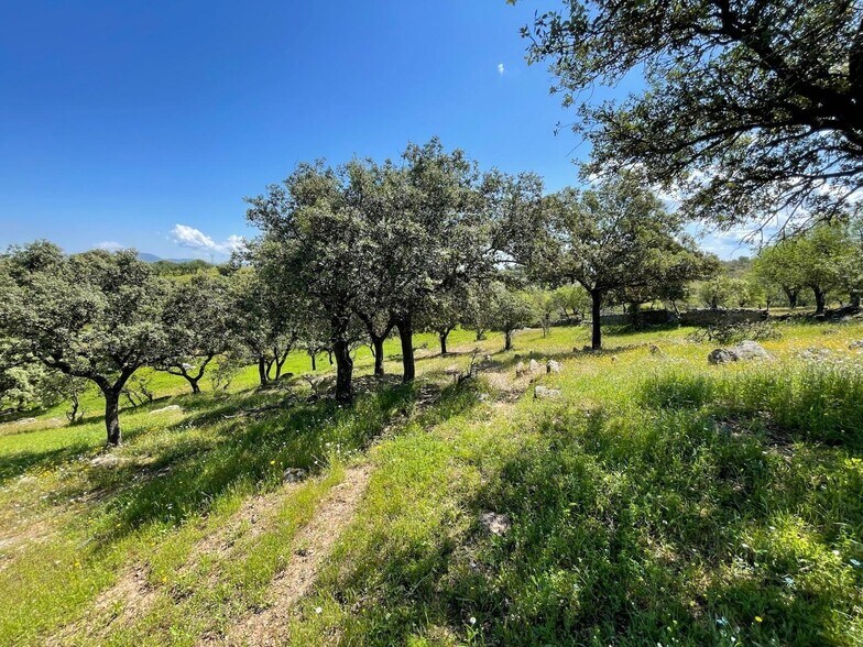 Camino de la Luria, Garrovillas de Alconétar, Cáceres à vendre - Photo du bâtiment - Image 3 de 17