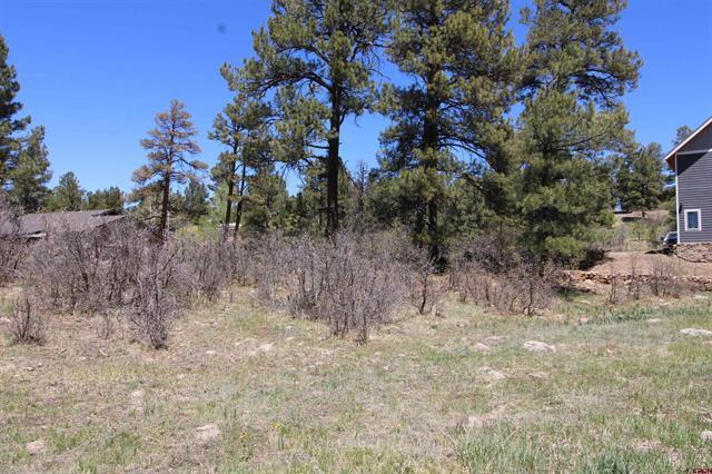 685 Caddy cir, Pagosa Springs, CO à vendre - Photo du bâtiment - Image 2 de 4