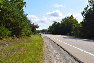 Plus de détails pour 8568 Ludington Dr, Lake, MI - Terrain à vendre
