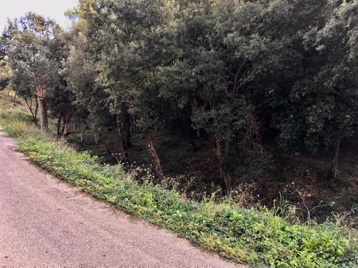 Carrer de Coll Monner, 10, Castellar del Vallès, Barcelona à vendre Autre- Image 1 de 3