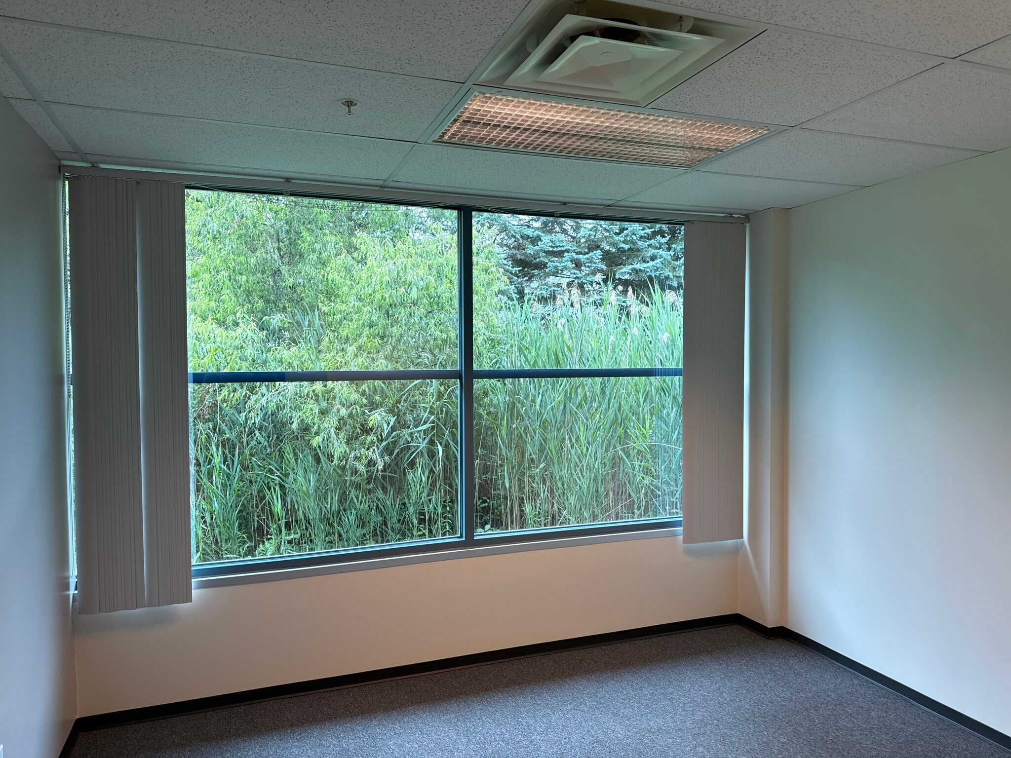 28175 Haggerty Rd, Novi, MI for lease Interior Photo- Image 1 of 1