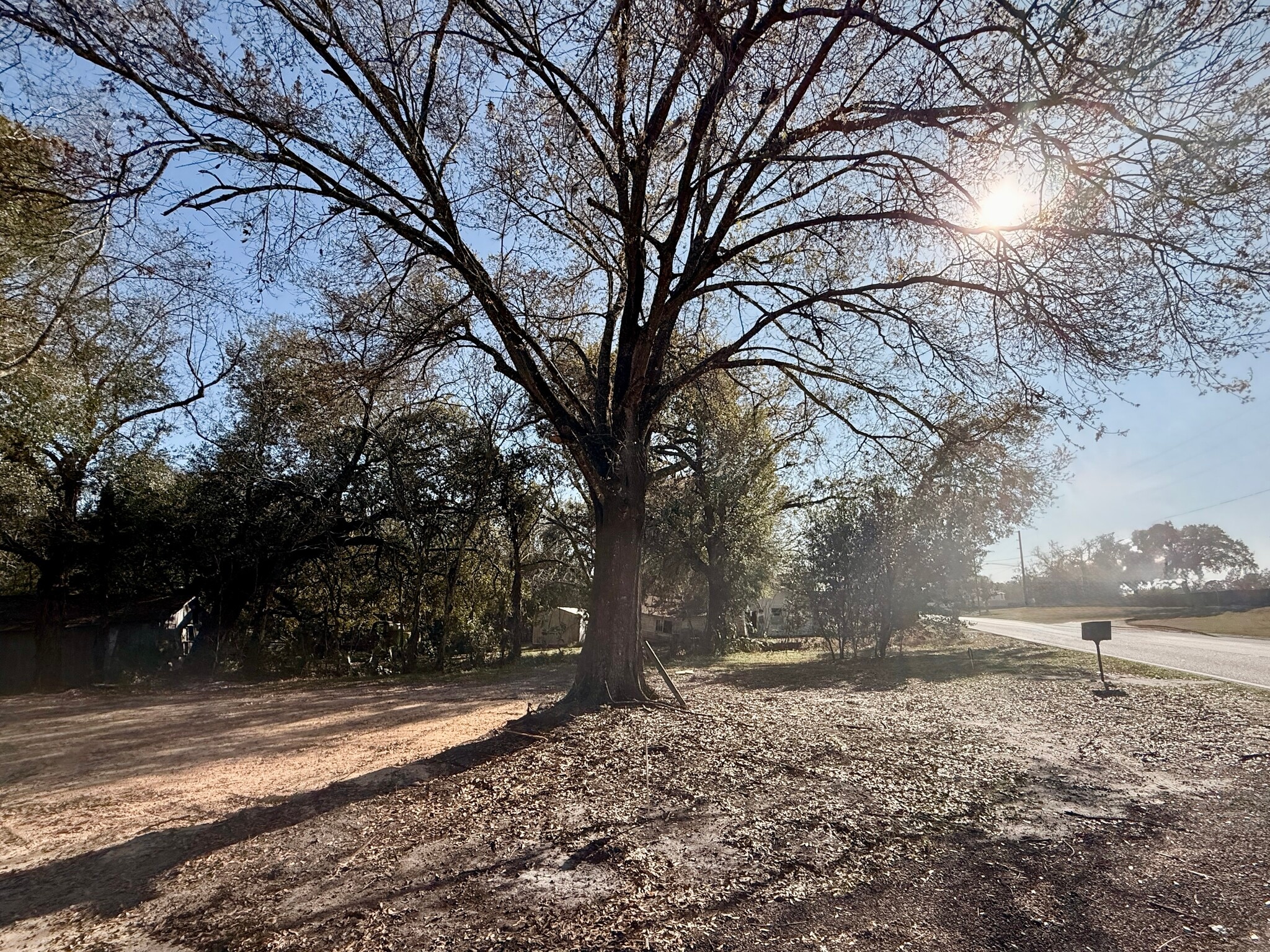 911 Marshall Farms Rd, Ocoee, FL for sale Primary Photo- Image 1 of 13