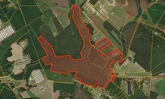 More details for Balfour Road & McNeill Lake Rd, Lumber Bridge, NC - Land for Sale