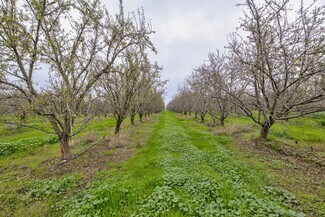 Plus de détails pour 1941 Dietz Rd, Earlimart, CA - Terrain à vendre